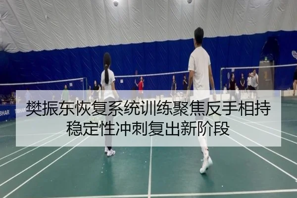 樊振东恢复系统训练聚焦反手相持稳定性冲刺复出新阶段