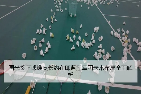 国米签下博维奥长约在即蓝黑军团未来布局全面解析